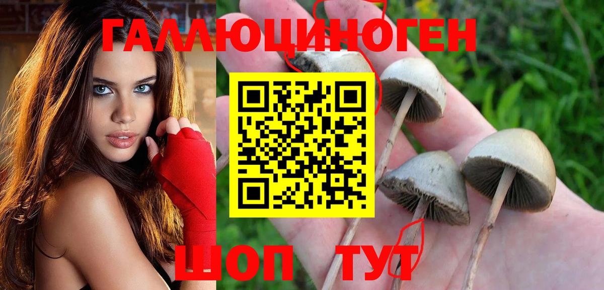 Псилоцибиновые грибы мухоморы Симферополь