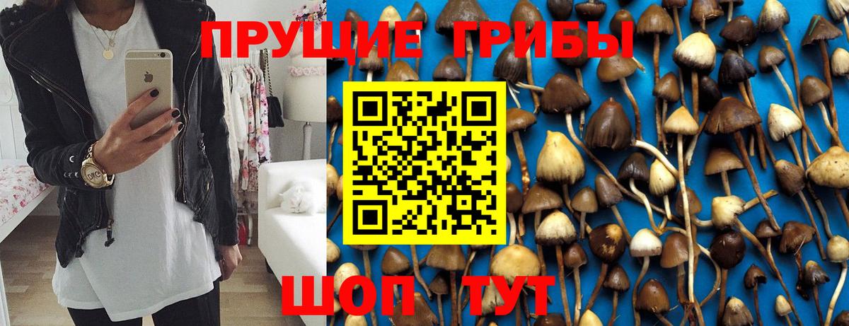 Галлюциногенные грибы GOLDEN TEACHER  Вход с VPN  Симферополь  Галлюциногенные грибы Psilocybine cubensis 