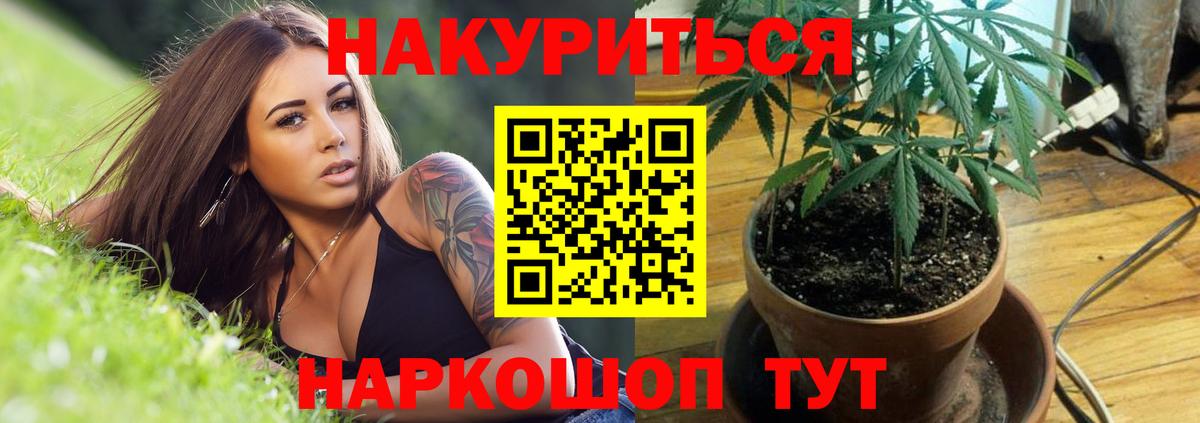 Бошки марихуана тримм  Шишки марихуана Bruce Banner  Вход с VPN  Симферополь  Шишки марихуана семена 